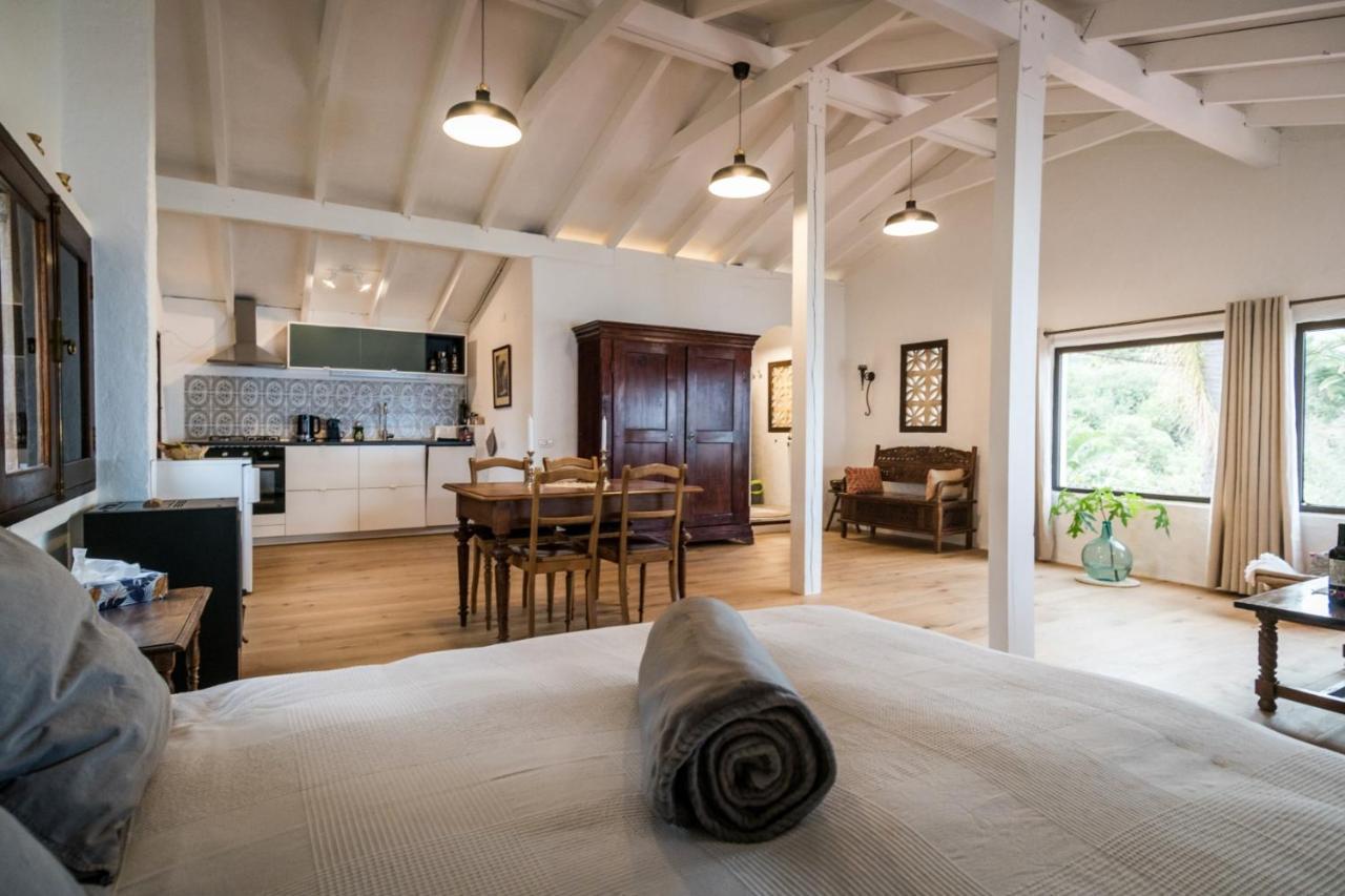 Ferienwohnung Finca Monica La Matanza De Acentejo Ngoại thất bức ảnh