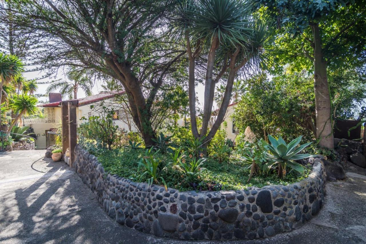 Ferienwohnung Finca Monica La Matanza De Acentejo Ngoại thất bức ảnh