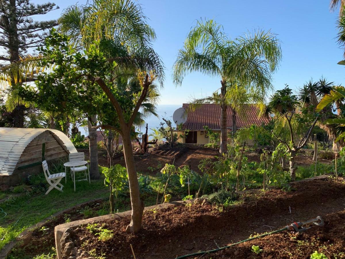 Ferienwohnung Finca Monica La Matanza De Acentejo Ngoại thất bức ảnh
